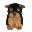 Yorkie Tea Cup Pup 6" H