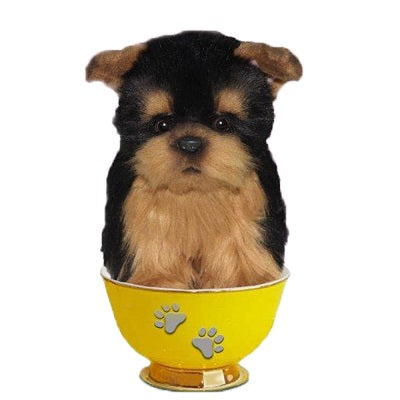 Yorkie Tea Cup Pup 6" H
