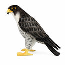 Falcon 19.7" H