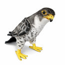 Falcon 19.7" H