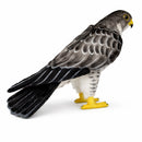 Falcon 19.7" H