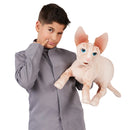 Sphynx Cat (AKA Hairless Cat) Hand Puppet