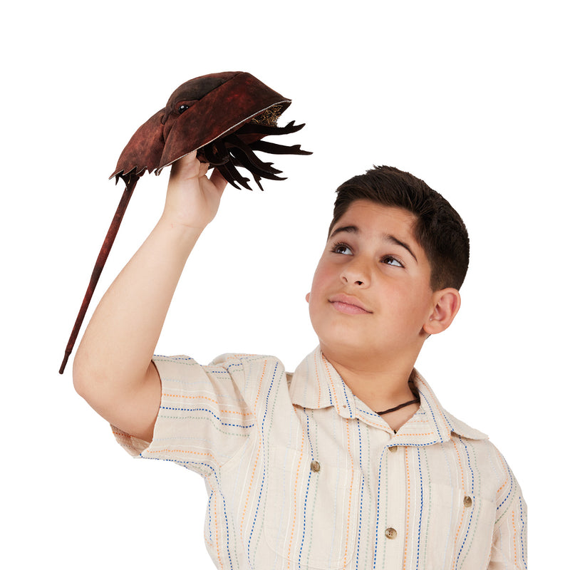 Horshoe Crab Hand Puppet