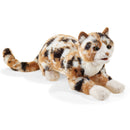 Calico Cat Hand Puppet, New for 2026!  In Stock!