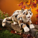 Calico Cat Hand Puppet, New for 2026!  In Stock!