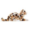 Calico Cat Hand Puppet, New for 2026!  In Stock!