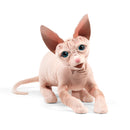 Sphynx Cat (AKA Hairless Cat) Hand Puppet