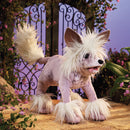 Chinese Crested Dog Hand Puppet