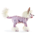 Chinese Crested Dog Hand Puppet