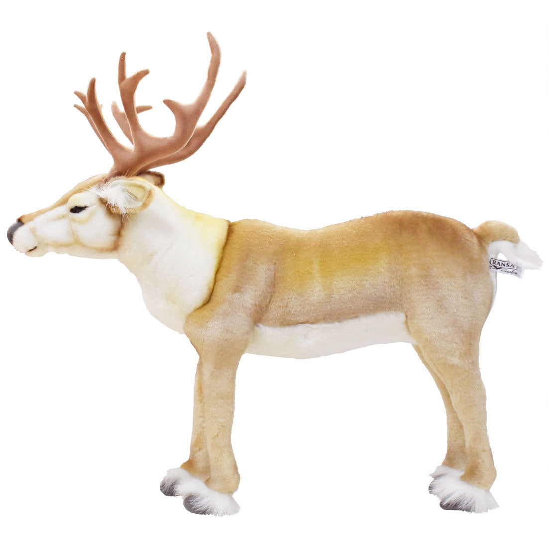 Nordic Deer (Reindeer) 24