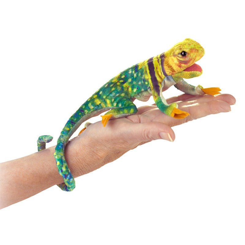 Mini Collared Lizard Finger Puppet, Ships Mid-July!  Pre-Order!