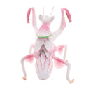 Orchid Mantis 6 Finger Glove Puppet, Fits Either Hand!  New for 2025!  In Stock!
