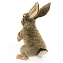 Jack Rabbit Hand Puppet, New!