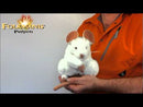 White Mouse Hand Puppet