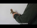 Mini Jack Rabbit Finger Puppet