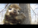 Three Toed Sloth Hand Puppet