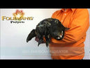 American Alligator  Hand Puppet