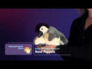 Baby Emperor Penguin Hand Puppet
