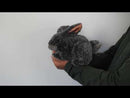 Small Gray Bunny Rabbit Hand Puppet