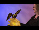 Swallowtail  Butterfly Finger Puppet