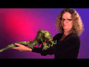 Iguana Hand Puppet