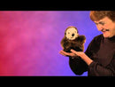 Baby Sea Otter Hand Puppet