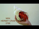 Mini Hermit Crab Finger Puppet