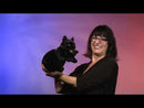 Black Cat  Hand Puppet