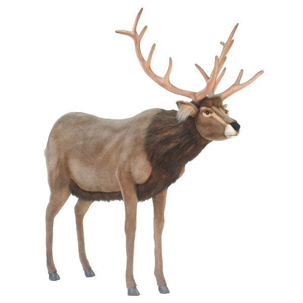 Deer, Male Hansatronics,  Life Size