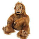 ORANGUTAN CLAPPING, Hansatronics