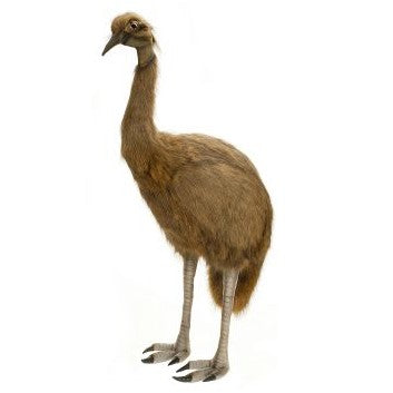 Emu, Life Size 50"H