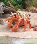 Crab, Hermit Hand Puppet