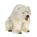 Bear, Polar, Seated