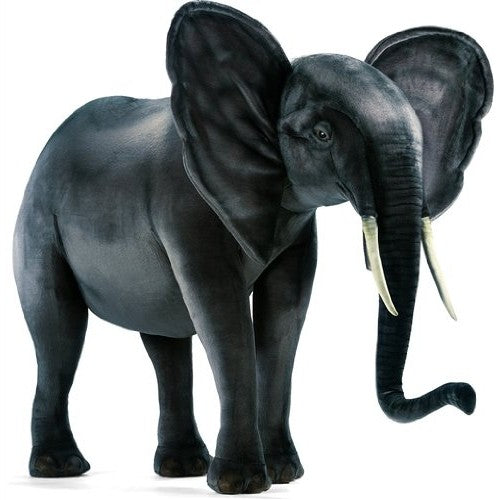 ELEPHANT SUPER SZ 10'L x 6'.3"H (SP)