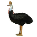 Cassowary Bird 29.53" H