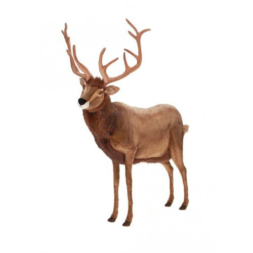 Deer, Reindeer, Ride On, Extra Large