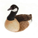 Goose, Canadian