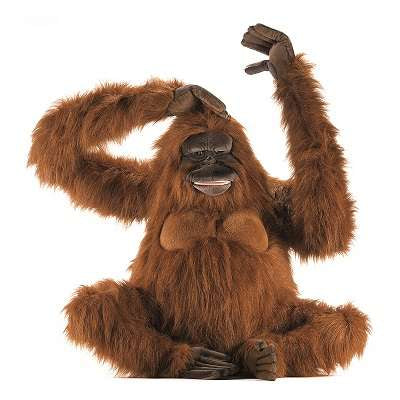 Orangutan Life Size 40" L, Critically Endangered