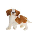 St. Bernard Puppy 14 L