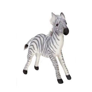 Zebra Baby 12"  H