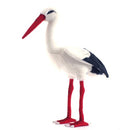 Stork