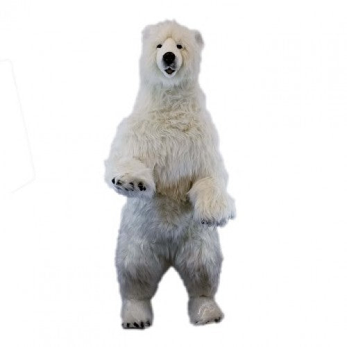 Bear, Polar, Standing on 2 feet, Life Size