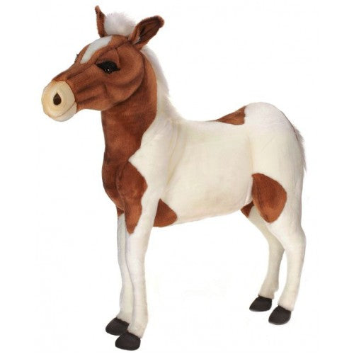 Horse, Shetland Pony, Ride on, Life Size