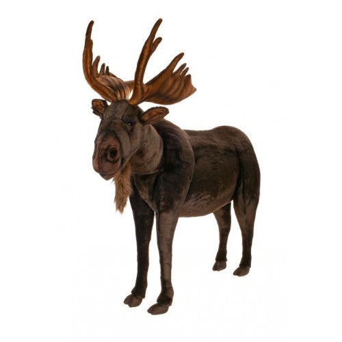 Moose, Ride On, Life Size