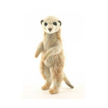 Meerkat Youth Up 9" H