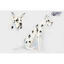 Dog, Great Dane, Harlequin, Life Size, Sitting