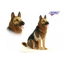 Dog, German Shepherd, Sitting, Life Size