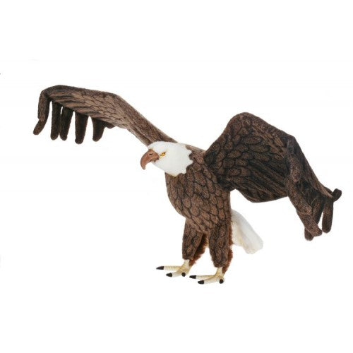 Eagle, American, Life Size
