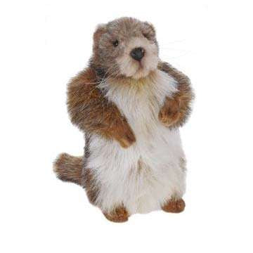 Marmot Groundhog Baby 9" H