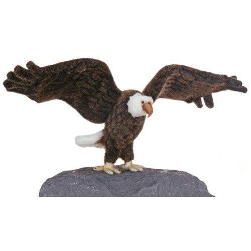Eagle, American, Large